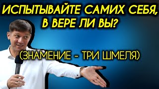 Испытывайте самих себя, в вере ли вы? (Знамение - три шмеля)