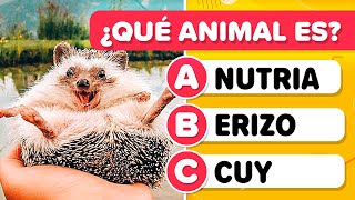 Guess the animal from the PICTURE - Difficult Level 😱🐙🦔 | Zoology test | General Culture Trivia screenshot 3