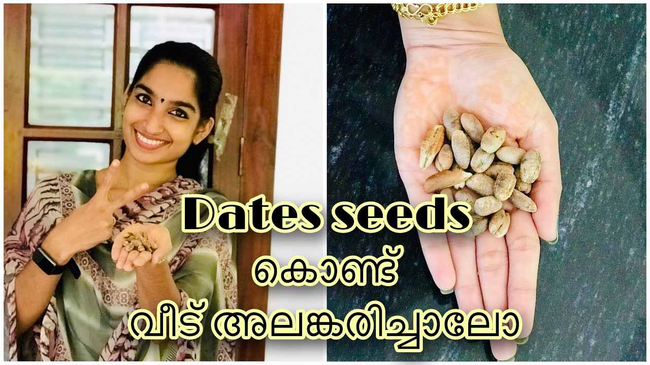 Dates seeds craft| wall hanging| DIY| best out of waste| wall decor| flower making|Aami’s Talks