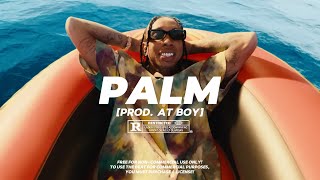 Details [SOLD] Tyga Type Beat - PALM | Club Banger Type Beat 2024 (prod. AT BOY) News