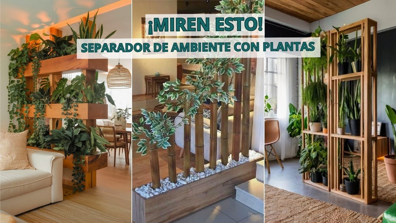 ¡Wow! Quiero Un Separador De Ambiente Con Plantas Así