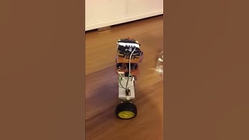 Self Balancing Robot
