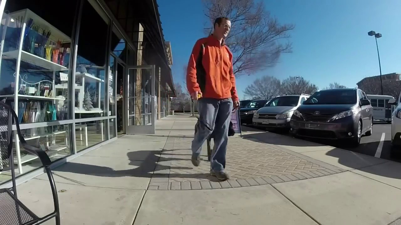 Allegiant K9s Training Charlotte Dog Training