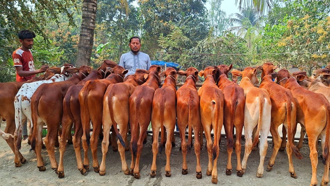 @আজ ৭ মার্চ
