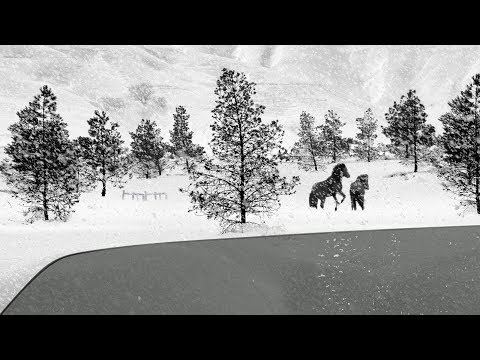 24 Frames – Trailer – SFF 18