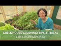 Greenhouse Growing Tips and Tricks
