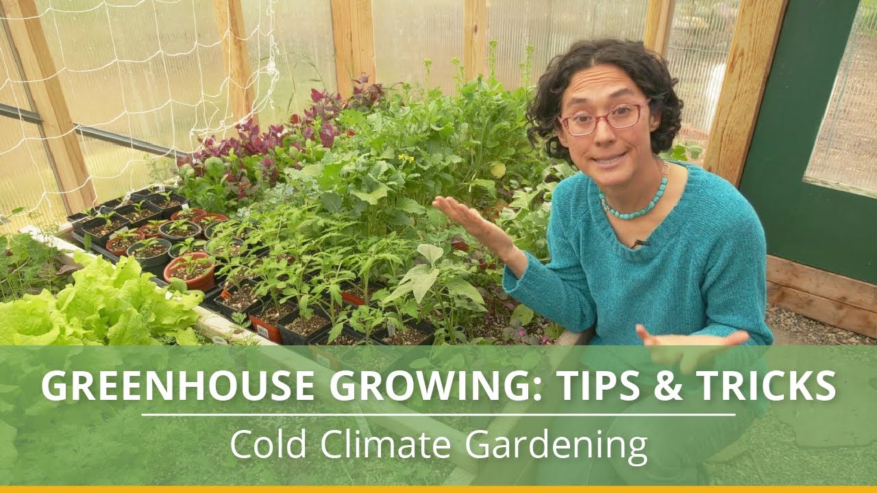 How Do Greenhouses Grow Plants So Fast?
