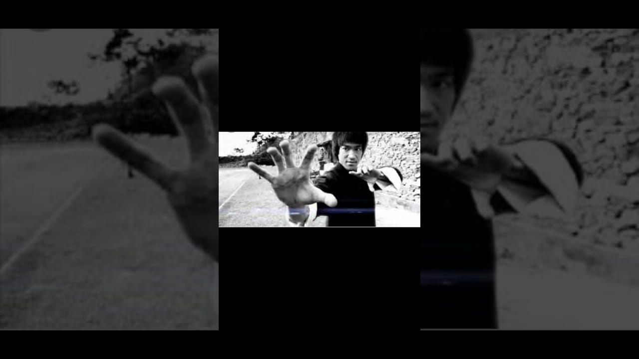 SICK OF WOKE S.. T AND NOW ONLY WATCH BRUCE LEE OLD MOVIES