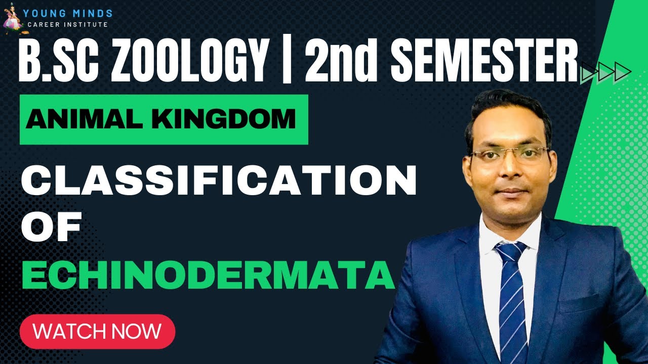 B.Sc Zoology | Classification of Echinodermata