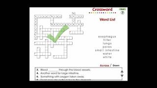 CC7551 Circulatory, Digestive & Reproductive Systems: Crossword App screenshot 3