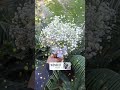 ونسيت حياتي نسيت ونسيت حياتي نسيت