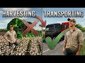 Cotton Harvesting ❌️Vehicle Transport✅️ | Farming Simulator 25