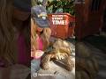 How tilly g the tortoise got his name 