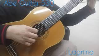 Abe Guitar 530