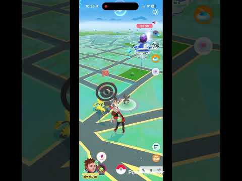 ミニコラッタ #pokemongo #pokemon #ポケgo #ポケモンgo #ポケモン