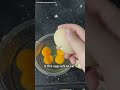🇺🇲SciWorthy Is this egg safe to eat? #egg #tiktok #fyp #runaway #popular #viral