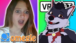 Furries Meet Npcs On Omegle