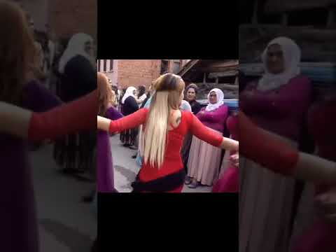 kurd dance OMG?🔥🔥💋❤️#shorts #ytshorts #viral #trending #trendingshorts #fyp #challenge #tiktok #usa