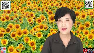 20200324-3【专家讲解】【美股崩盘的玄机：美联储为什么急了】【二】【寒梅视角】