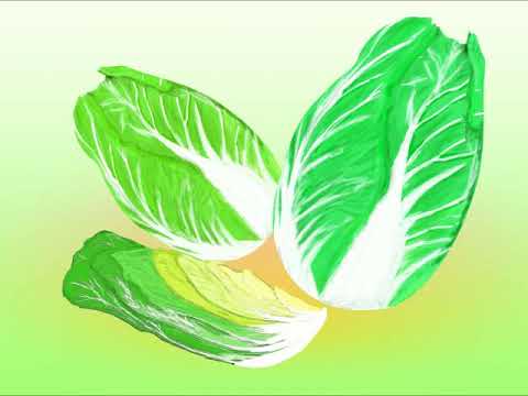 はくさいぎしぎし・メゾソプラノ（MIDI）
