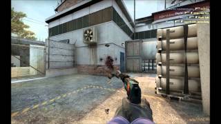 Cache USP-S Ace