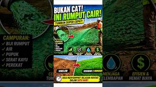 Bukan Cat! Ini Cara Menanam Rumput Super Cepat #shorts