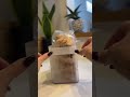 #5児ママ #7人家族 #ストック動画 #コストコ#コストコ商品 #costco #stock