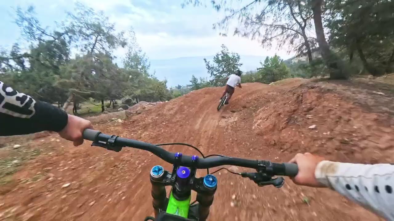 יער שוויץ בתנאים פריים ואוו מטורף!