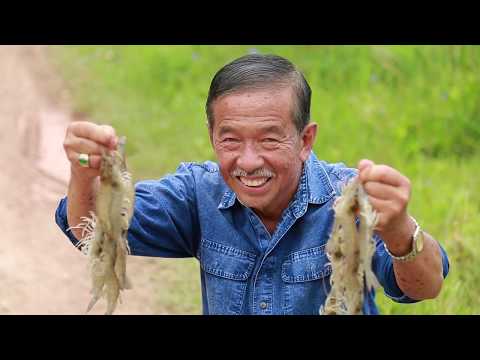 การเลี้ยงกุ้งขาว ตอนที่ 5: ดูแลรักษากุ้งอย่างไร? ให้ไร้โรค