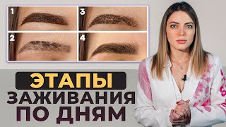 Как понять, что перманентный макияж заживает ПРАВИЛЬНО? Заживление татуажа бровей НАГЛЯДНО!