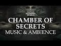 🐍The Chamber of Secrets | Harry Potter Music and Ambience, 3 Hours
