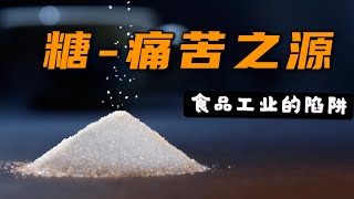 Sugar, the bitter truth|糖—如何改变了美国人的体质？为什么一定要少糖？糖的危害？食品工业的陷阱？｜Vivian G