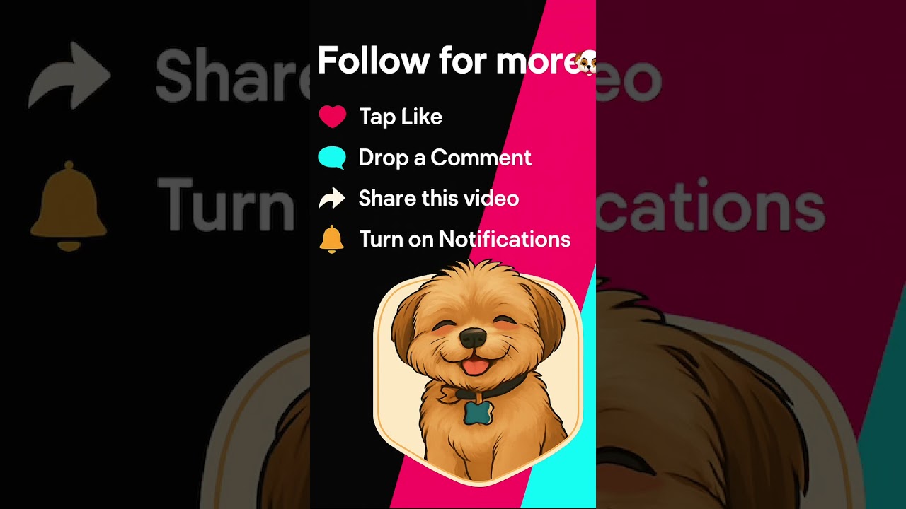 Join the Adventure: Subscribe, Like, and Comment on My Journey!