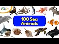 100 Sea Animals for Kids | Learn Sea Animals Names | Sea Creatures for Kids | Types of Sea Animals