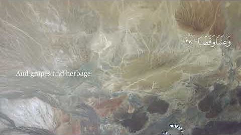 Quran Ibrahim al Jibreen Surah 80 'Abasa (He Frowned) إبراهيم الجبرين سورة عبس