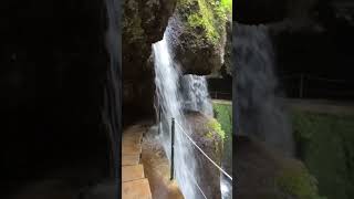 Hike the Levada do Moinho - Levada Nova in Madeira with me! It leads to an epic waterfall!