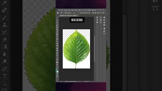 Insane Photoshop Tricks You Need to Try Today  #shorts #youtubeshort #viral #trending #photoshop
