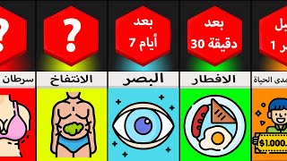 مقارنة الجدول الزمني: ماذا لو تناولت 4 بيضات كل يوم