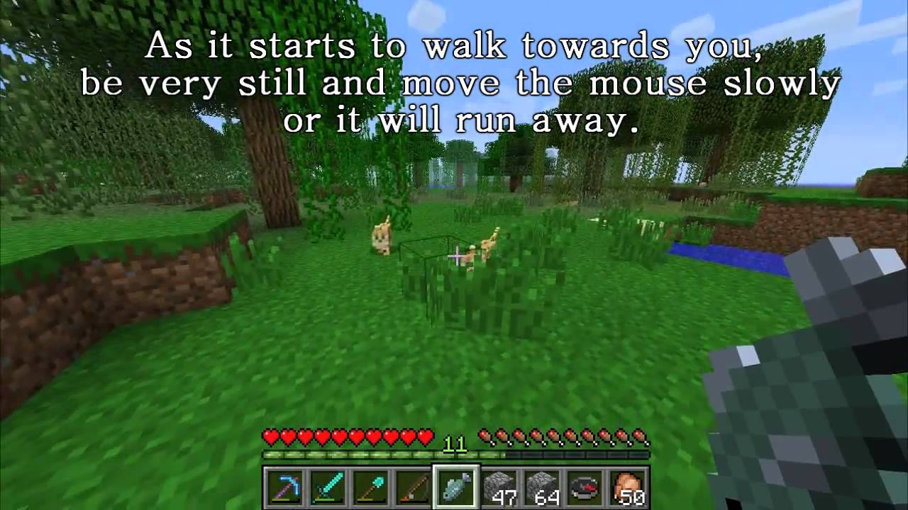 Minecraft - How to get a cat - YouTube