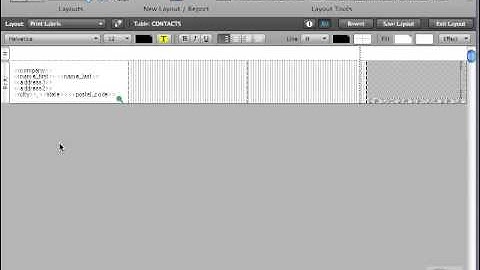 FileMaker Tutorial - 105 - Adjusting Labels