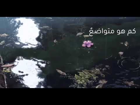 أناشيد للأطفال نشيد عن صفة التواضع
