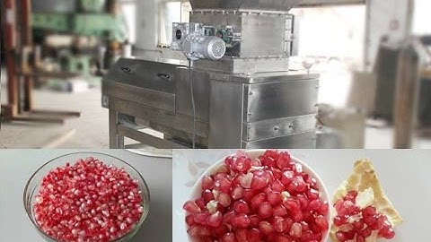 pomegranate arils separator machine