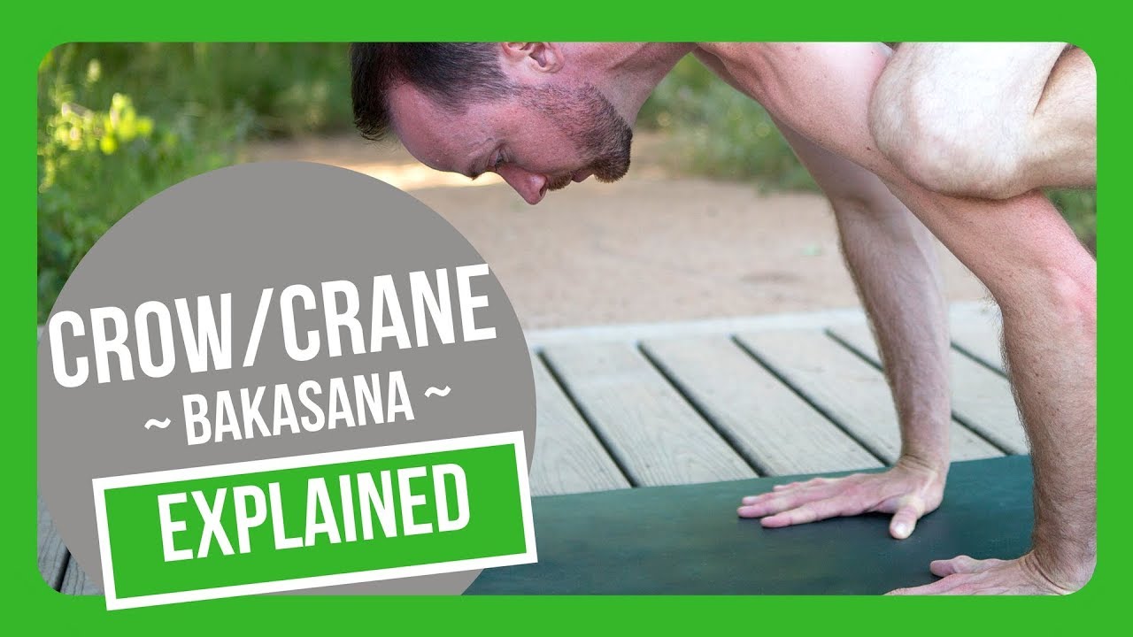 Bakasana. Using arm balance and core strength to strike the crane pose  (also called Crow pose) In this incredible journey, all that mat... |  Instagram