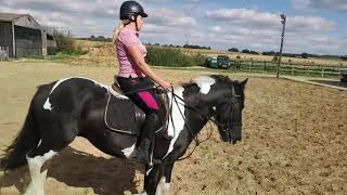 Danny flatwork