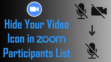 How to Hide Video Icon in Zoom Participants List | How to Disable Camera in Zoom | FAQ | Wikitricks
