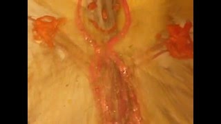 Hasser - Stepmother Earth