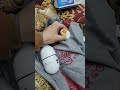 ١٧ فبراير ٢٠٢٦