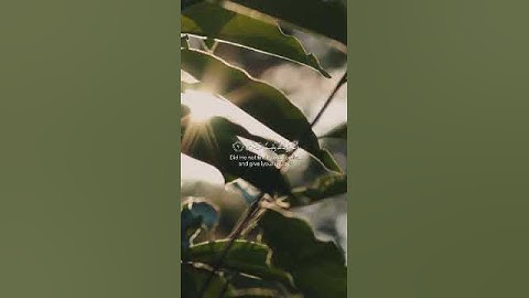 القراءات العشر.سورةالضحى .برواية ورش عن نافع