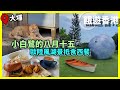 [中秋好去處] 小白鷺的八月十五 歐陸風湖景抵食西餐 | 餓遊･香港 #74 [4K]