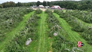 Mass. apple orchard offers unique farmtotable dishes